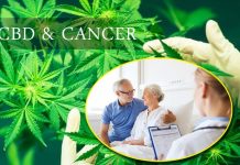 CBD and Cancer Treatment Benefits: A Quick Look! CBD and Cancer Treatment Benefits: A Quick Look!