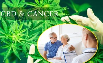 CBD and Cancer Treatment Benefits: A Quick Look! CBD and Cancer Treatment Benefits: A Quick Look!