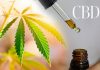 How Using CBD Can Help You to Take Control over Your Personal Health How Using CBD Can Help You to Take Control over Your Personal Health