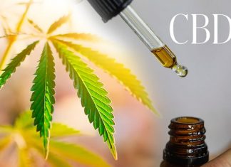 How Using CBD Can Help You to Take Control over Your Personal Health How Using CBD Can Help You to Take Control over Your Personal Health