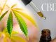 How Using CBD Can Help You to Take Control over Your Personal Health How Using CBD Can Help You to Take Control over Your Personal Health
