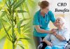 The Different Health Benefits Of CBD For Senior Citizens The Different Health Benefits Of CBD For Senior Citizens