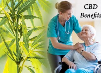 The Different Health Benefits Of CBD For Senior Citizens The Different Health Benefits Of CBD For Senior Citizens