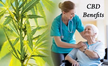 The Different Health Benefits Of CBD For Senior Citizens The Different Health Benefits Of CBD For Senior Citizens
