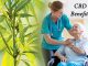 The Different Health Benefits Of CBD For Senior Citizens The Different Health Benefits Of CBD For Senior Citizens