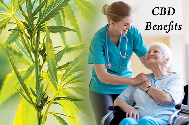 The Different Health Benefits Of CBD For Senior Citizens