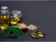 CBD Oil: How Is It Made? CBD Oil