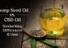 Mystery Explained: Hemp Seed Oil Vs. CBD Oil Hemp Seed Oil Vs. CBD Oil
