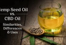 Mystery Explained: Hemp Seed Oil Vs. CBD Oil Hemp Seed Oil Vs. CBD Oil