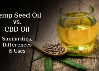 Mystery Explained: Hemp Seed Oil Vs. CBD Oil Hemp Seed Oil Vs. CBD Oil