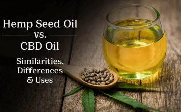 Mystery Explained: Hemp Seed Oil Vs. CBD Oil Hemp Seed Oil Vs. CBD Oil
