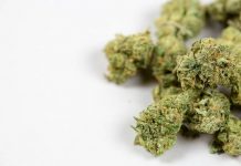 How Much THC in Edibles Calculator How Much THC in Edibles Calculator