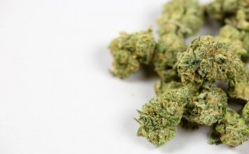 How Much THC in Edibles Calculator How Much THC in Edibles Calculator