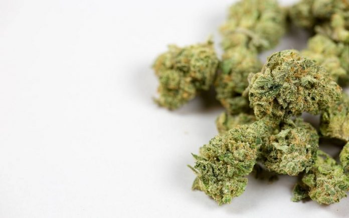 How Much THC in Edibles Calculator