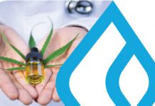 CBDA is the up and coming cannabinoid you need to know about CBDA is the up and coming cannabinoid