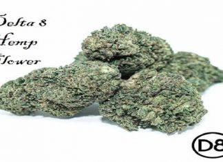 D8 Flower vs. D9 Flower D8 Flower