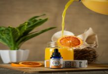 The Use of CBD Oil Tinctures During Pregnancy and Breastfeeding CBD Oil Tinctures