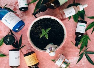 Discovering New Dimensions of Flavor through Cannabis Pairing Cannabis Pairing