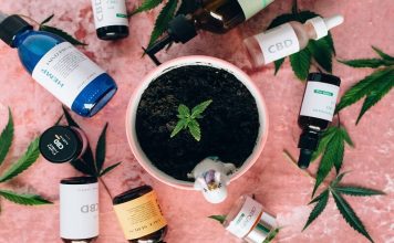 Discovering New Dimensions of Flavor through Cannabis Pairing Cannabis Pairing