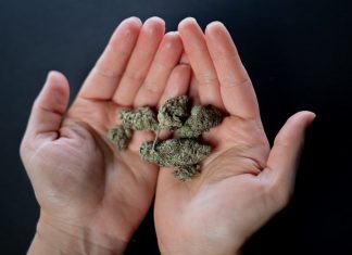 Dispensary Etiquette: Dos and Don’ts for a Positive Experience Morro Bay dispensary online