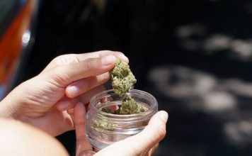 CBD Topicals: A Closer Look at Their Potential Benefits cannabis dispensary