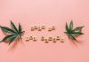 Weed Dispensary Loyalty Programs: Saving Big on Your Favorite Products Weed Dispensary Loyalty Programs