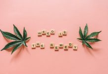 Weed Dispensary Loyalty Programs: Saving Big on Your Favorite Products Weed Dispensary Loyalty Programs