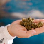 Local Weed Dispensary