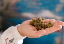 How Can You Safely Enjoy Cannabis-Infused Food from Your Local Weed Dispensary? Local Weed Dispensary