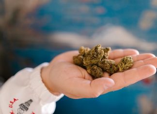 How Can You Safely Enjoy Cannabis-Infused Food from Your Local Weed Dispensary? Local Weed Dispensary