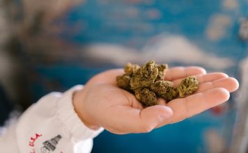 How Can You Safely Enjoy Cannabis-Infused Food from Your Local Weed Dispensary? Local Weed Dispensary