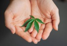 How Powerful is CBD for Moms CBD for Moms