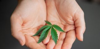 How Powerful is CBD for Moms CBD for Moms