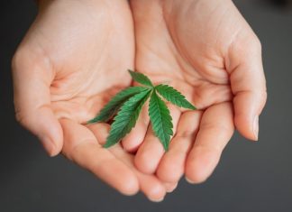 How Powerful is CBD for Moms CBD for Moms