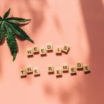 Cannabis Dispensaries