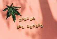 Navigating Health and Safety Measures at Cannabis Dispensaries Cannabis Dispensaries