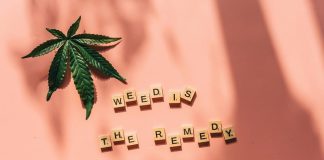 Navigating Health and Safety Measures at Cannabis Dispensaries Cannabis Dispensaries