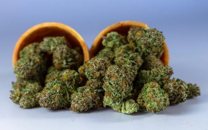 medical cannabis benefits
