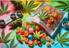 The Ultimate Beginner’s Guide to Delta 9 Gummies: What You Need to Know Before Buying Delta 9 Gummies