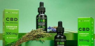 CBD for Anxiety: A Doctor’s Perspective on a Potentially Perfect Option CBD For Anxiety