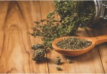 What Makes Exotic CBD Flower So Unique? A Beginner’s Guide Exotic CBD Flower