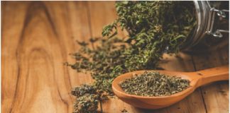 What Makes Exotic CBD Flower So Unique? A Beginner’s Guide Exotic CBD Flower