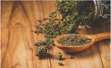 What Makes Exotic CBD Flower So Unique? A Beginner’s Guide Exotic CBD Flower