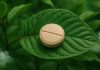 What Are 7-OH Tablets? A Simple Guide to Kratom’s Most Talked-About Alkaloid What Are 7-OH Tablets