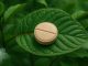 What Are 7-OH Tablets? A Simple Guide to Kratom’s Most Talked-About Alkaloid What Are 7-OH Tablets