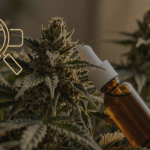 CBD SEO in 2026_ How Hemp Brands Win Search Without Ads Thumbnail