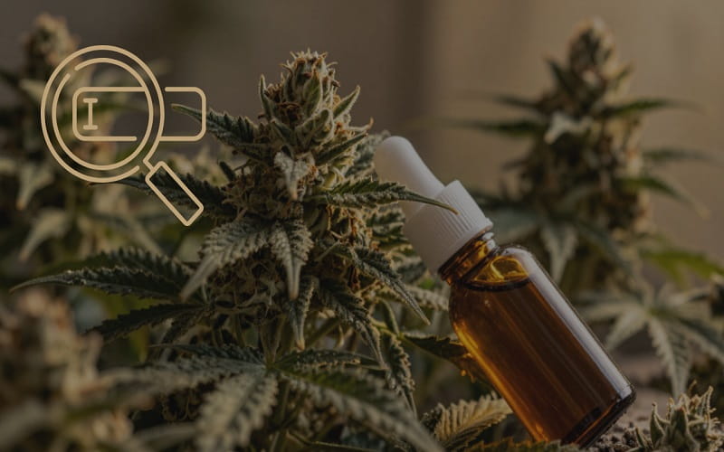 CBD SEO in 2026_ How Hemp Brands Win Search Without Ads Thumbnail